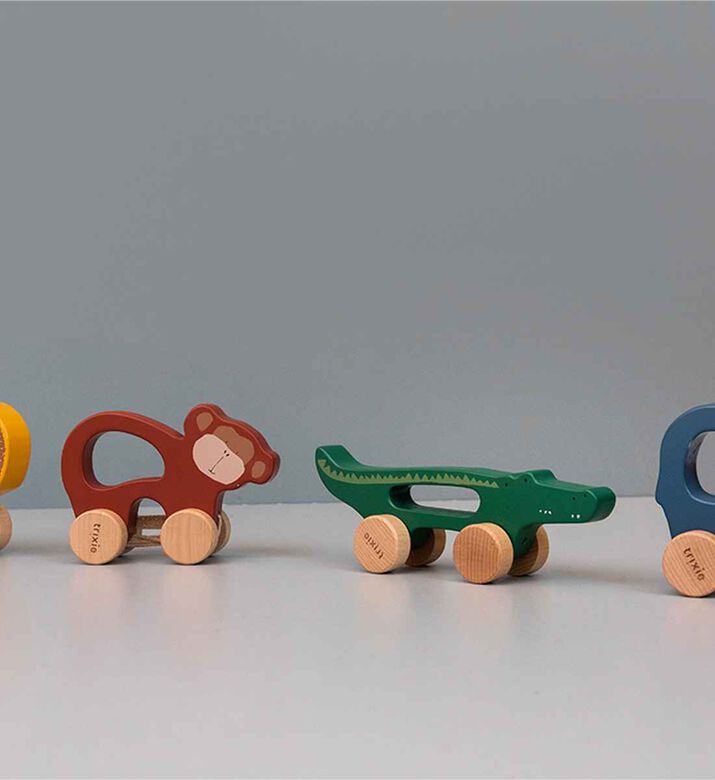 Mr. Lion Wooden Pull-along Toy