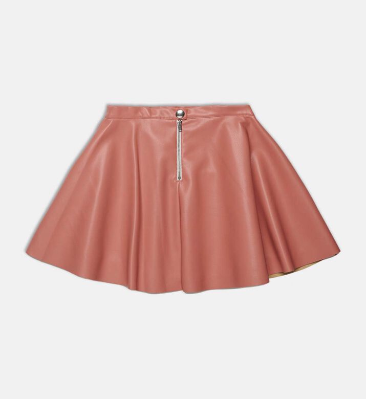 Flared Skater Mini Skirt