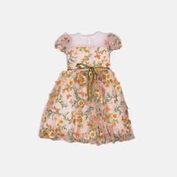 Floral Embroidered Tulle Party Dress