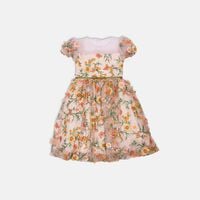 Floral Embroidered Tulle Party Dress