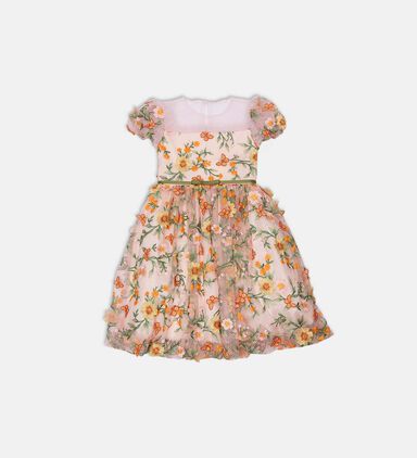 Floral Embroidered Tulle Party Dress