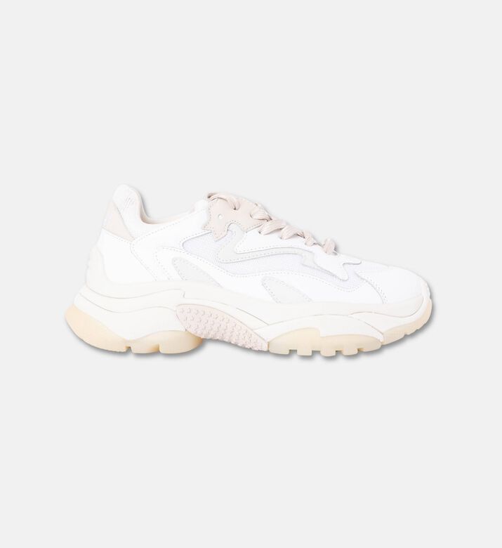 ASH Addict Leather Fabric Sneakers, Packshot View