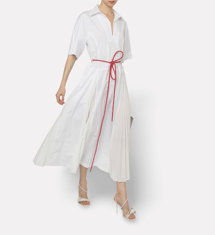 Plan C Dress Pleated, Model View