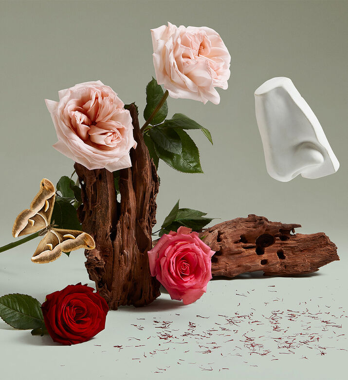 عطر Artemisia Eau de Parfum