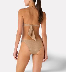 Palmacea Swst Bra, Model View