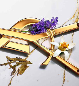 212 VIP Men Wins عطر