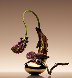 ماء عطر كوير نو