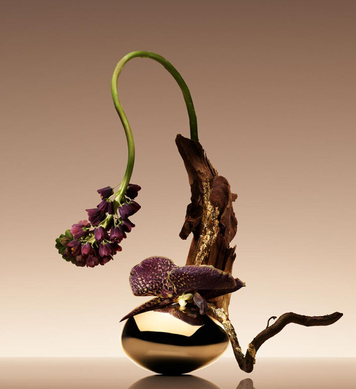 ماء عطر كوير نو