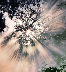 شمعة ريبليكا وين ذا رينز ستوبس 165 جم