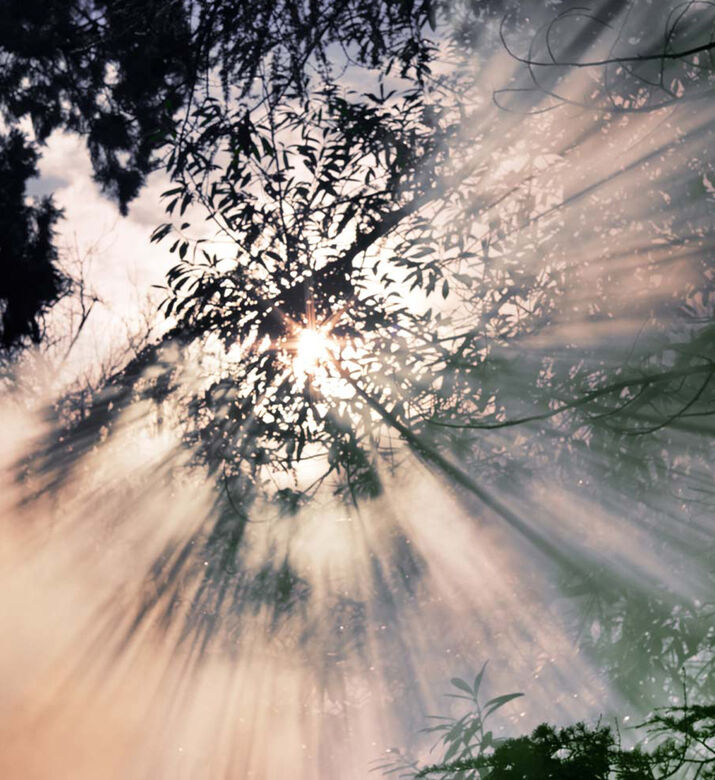 شمعة ريبليكا وين ذا رينز ستوبس 165 جم