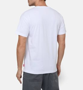 Diesel Ts, Model View