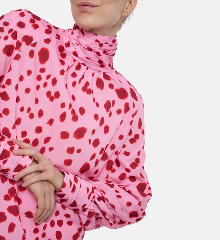 Rowen Rose Ruched Raglan Sleeves Blouse, Model View