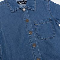 Celise Denim Ruffled Hem Dress