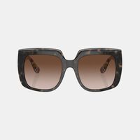 Square Animal-print Sunglasses 54