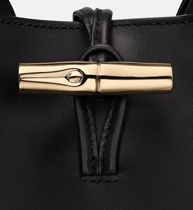 Longchamp Bag Roseau, Packshot View