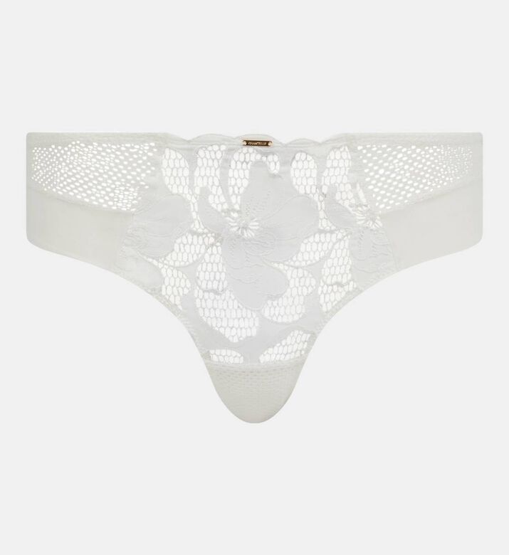 Embroidered Floral Sheer Lace Brief