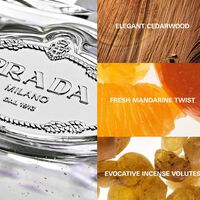 Les Infusions Cedre Eau De Parfum 100 Ml