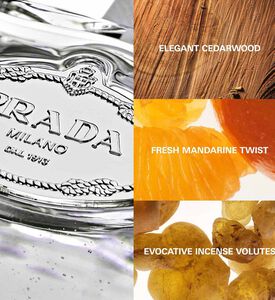 عطر ليزانفوزيون سادر