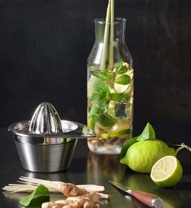 Roesle Lemon Press, Packshot View Roesle Lemon Press, Packshot View