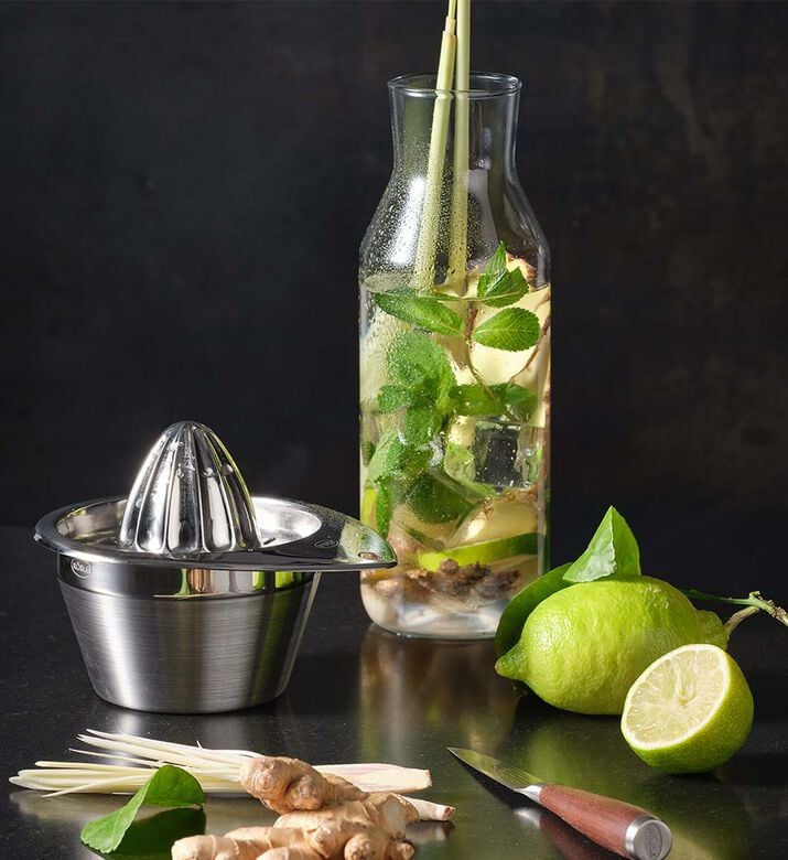 Roesle Lemon Press, Packshot View Roesle Lemon Press, Packshot View