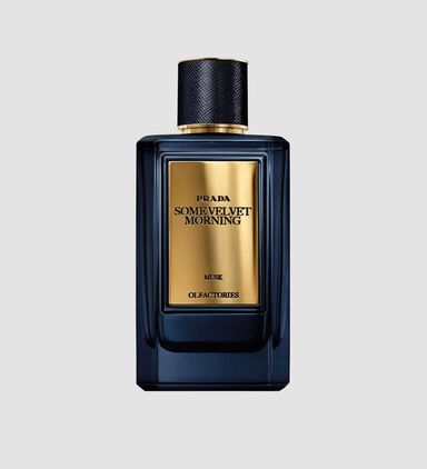 عطر صام فيلفيت مورنيغ