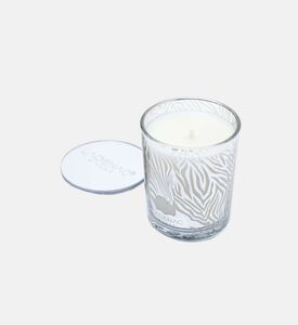 Africa Zebra Candle Jar Africa Zebra Candle Jar