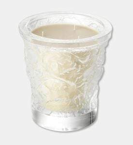 Lalique Cndle Vase 750g Foret, Packshot View