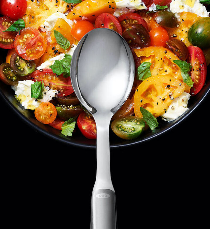 Stainless Steel Serving Spoon