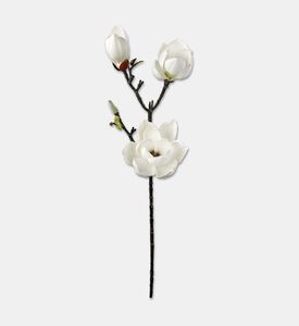 Shishi Branch Magnolia, White, 75-cm, Packshot View