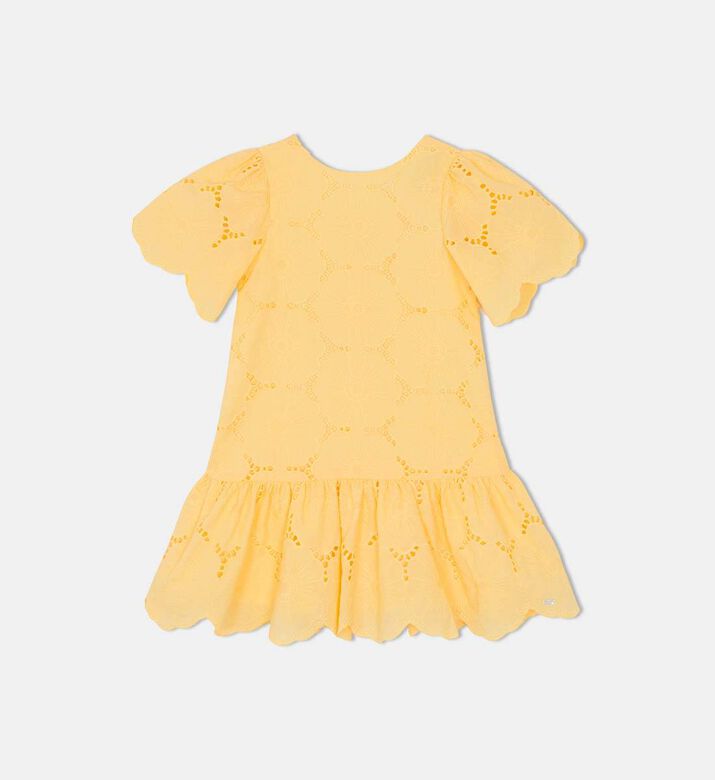 English Embroidery Flared Mini Dress
