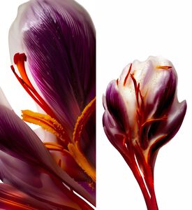 Maison Margiela Delight In Despair Eau De Parfum, 75-ml, Packshot View