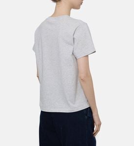 Ba and Sh Ts Ioni, Model View