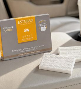 Esteban Paris Amber 2-piece Car Diffusers Set, Model View