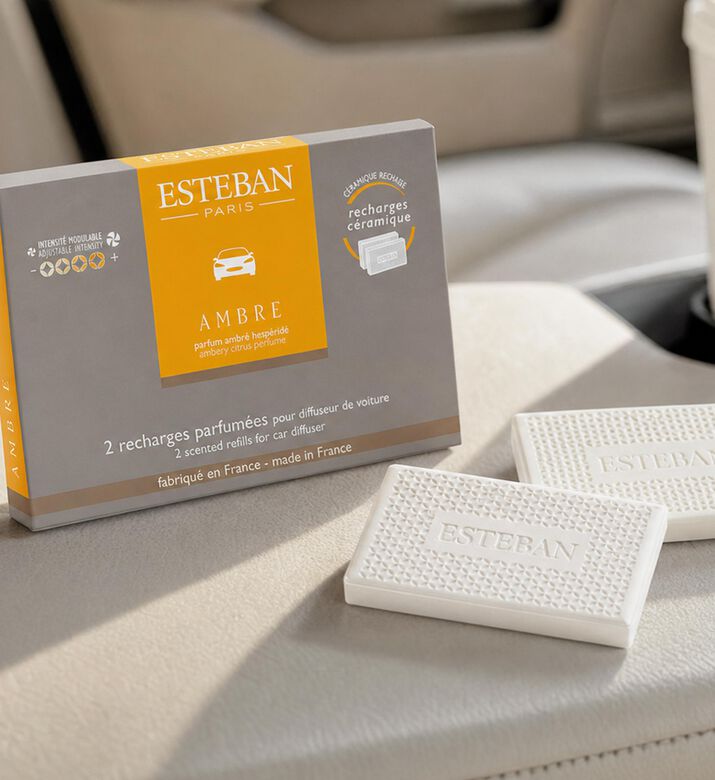 Esteban Paris Amber 2-piece Car Diffusers Set, Model View