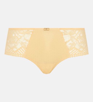 Scalloped Edges Brief