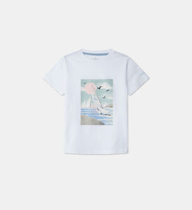 تيشيرت قطن بطبعة غرافيك لملركب شراعي