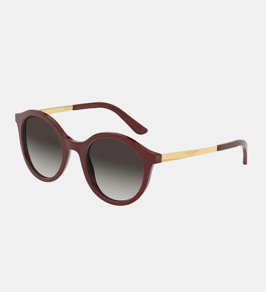 Acetate Round Frame Sunglasses 50