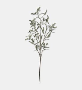 Shishi Eucalyptus Branch Berries, Packshot View