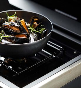 شواية باربكيو ستيلا كابينيتس غاز