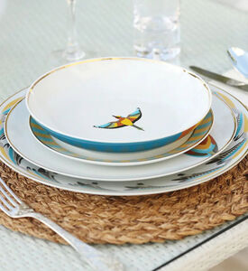 Silsal Sarb Soup Bowl - Bee-eater, Packshot View