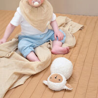 Organic 2-pack Bandana Bib