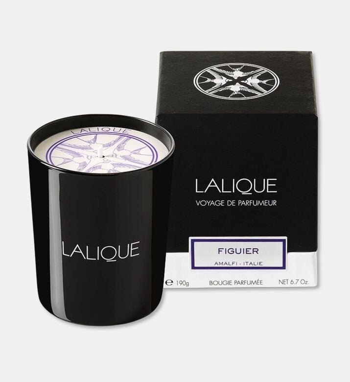 Lalique Candle 190g Figuier, Packshot View