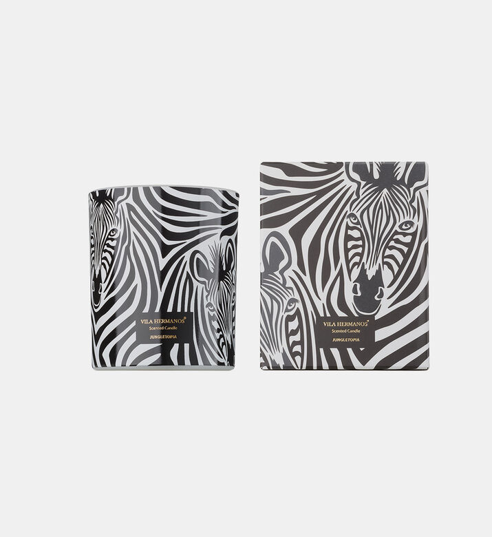 Jungletopia Zebra Candle Jar
