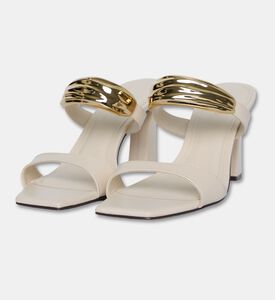 Arezzo Shoes Sabot, Packshot View