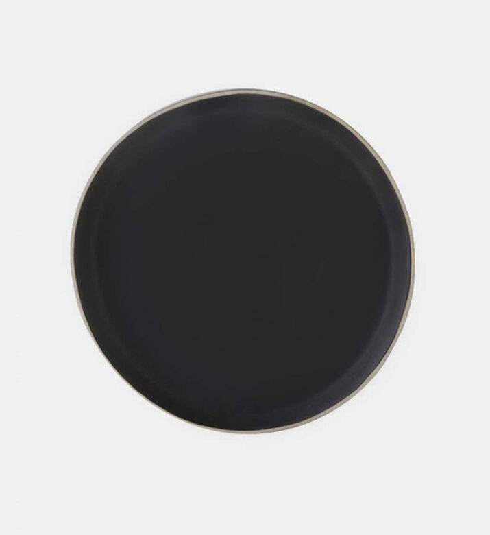Porcelain Skall Matt Dinner Plate