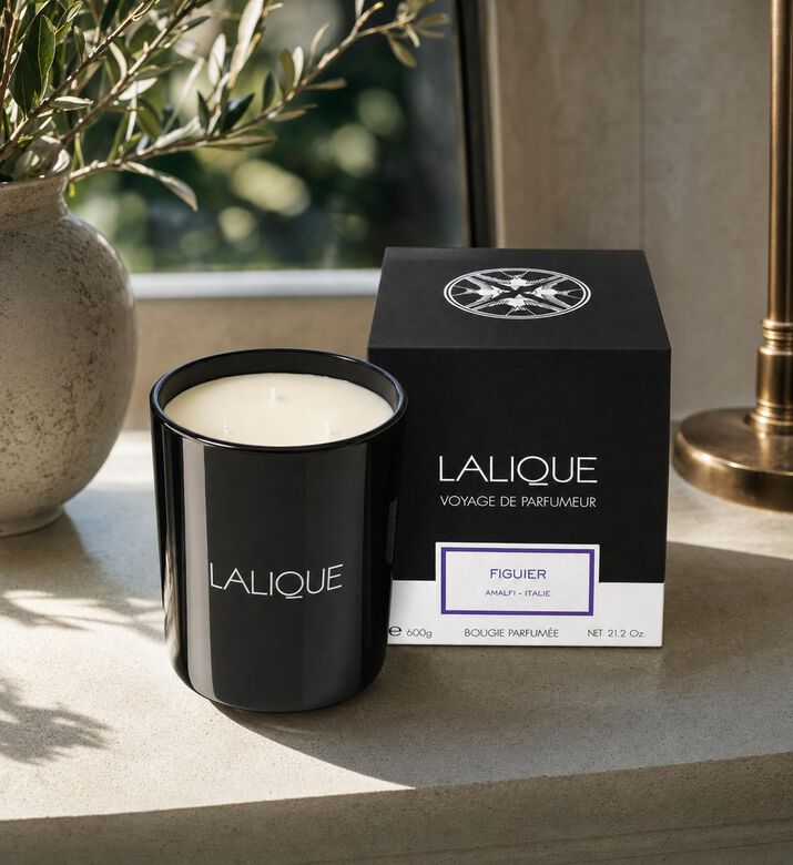 Lalique Amalfi Figuier Scented Candle, Model View