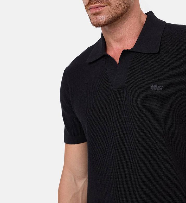 Lacoste Sweater, Model View