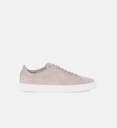 Clean 90 Suede Sneakers