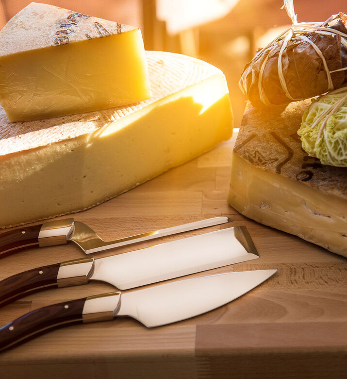 Legnoart Fromager Steel Cheese Knife Set, Packshot View