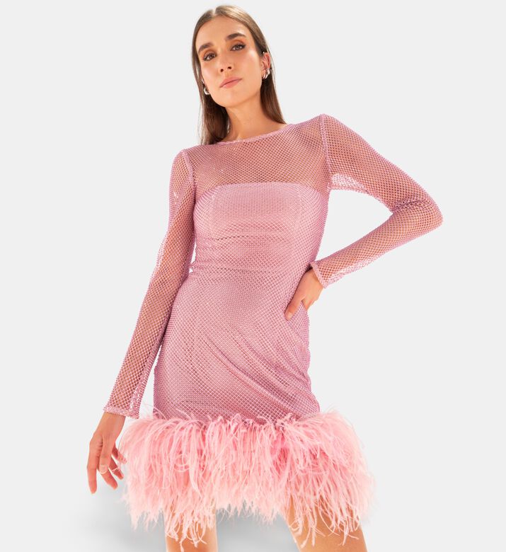 Savanna Feather-trimmed Crystal-embellished Mini Dress, Model View